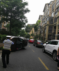 Ϊ�����������ʧ�� Ů˾��������ʻ�ң�