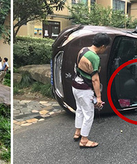 Ϊ�������� Ů˾��������ʻ�ң�