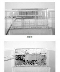 [װ��]�յ�����Ϊ��� ɢ��Ƭ��3000ϸ��