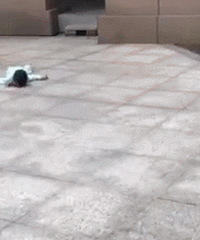 ����С��8¥׹������ �ҳ�ȴ�ڡ�����