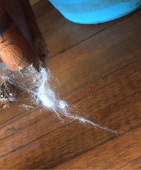 �ѷ������ĳУѧ�� �Ҿ߱���ҧ��һ����Ϳ���Է�˵�����100