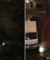 ʲô���ʣ��ѳ��ӵ����з��ͣ