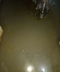 ����ĳС����ˮ���޹��Ժ� �������ⶼ��ˮ��