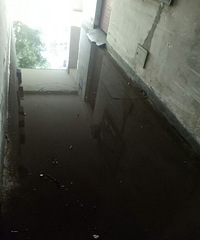 ����ĳС����ˮ���޹��Ժ� �������ⶼ��ˮ��