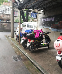 ���붼�ۣ���ʮֻ�Ʒ�ӭ������ ȫ������ʮ����