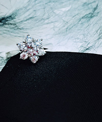 ����ֵѩ����״����� �������Ҷ�����һ�л���