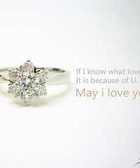 ����ֵѩ����״����� �������Ҷ�����һ�л���