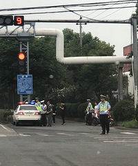 ����ĳ·�����ڲ�綯���ˣ�Ŀǰ�鴳�ƺʹ���