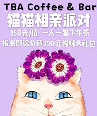猫猫相亲派对