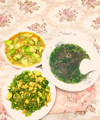����һ�����ֲ� �߲˶����Լ����µ�