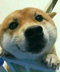 ������Щ���߲��� ����ͦ�� ����һ��Ĵ��ֵ� ��ô�ҵ�����