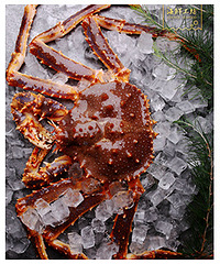 ����ſ�������쵹��ʱ�����Ź���һ������