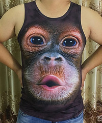 �ö��ģ��Ϲ����Ұ���������·�