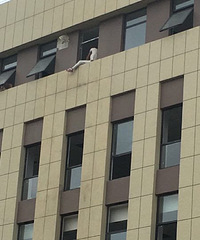 ͻ��������������һ���� ����Ҫ��¥��