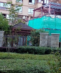 ����ĳС�����Υ�½��� ��Ȼû�˹ܣ�