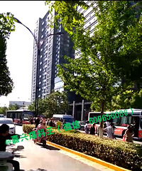 ͷ���ŵض���Ѫ��ͩ��ĳ�ֵ�һ����ͳ�����