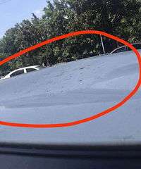 ����ĳ�Ƶ�ǽ������ ���ҳ����ҳ�һ���ӣ���ҵֻ��500��