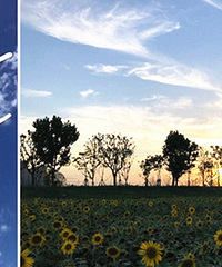 ��̨����˲�����ļ��� ������ʣ�