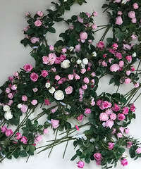 ������Խ�