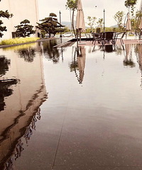 ���������治��է����¥�̾��۶�Ҫһ���߰���