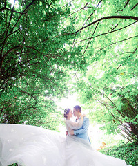 ����һ��ɭϵС����  �о�˲��ص���ʮ�����͵���԰��