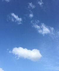 �겻����ſ�Ʈɢ