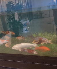 ��ļ�����˵ֻ������