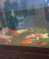 ��ļ�����˵ֻ������