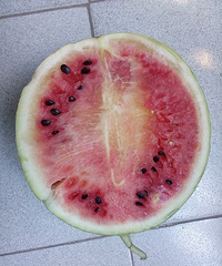 �Թ�Ⱥ�ڲ��õ���������˳����˸����� �п��󲻶��ˡ�����