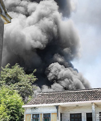 ������ͻ����𣡺��̸Ƕ� ֱ��Ʈ������վ