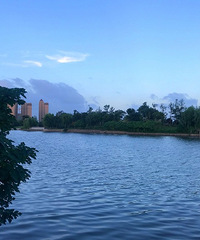 ��������������Ҫ�����ġ�