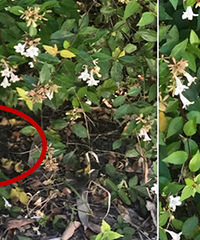 ��ϡ�棡�����ĵ���������