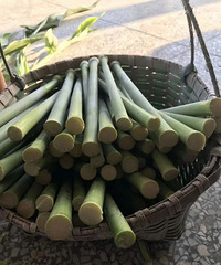 ����ɱ��˭���ǵ����ζ��