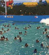 ��������� �ȵ��ڻ���������500�Ż���ˮ�����ͯƱ...