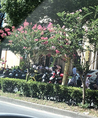 ��԰���Ҫ���������ֳ��˺ö�