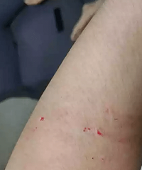 Ů�˷����������ĺݣ���Ϊһ����Ϸ �ұ��������...