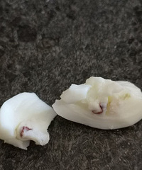 ˲��ûʳ���ˣ�ˮ���������������ֶ���