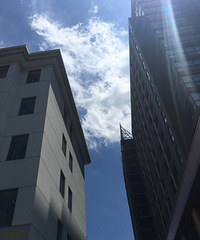 ������ȫ����