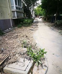 ����ĳС��Ұ��ʩ�� �Ĵ����ڣ�񿾮������Ƭ����