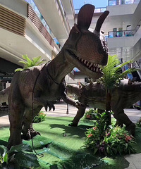 ׳�ۣ�ɼɼӡ���Ѿ���������ռ