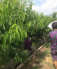 �������80�������̫̫ ������͵���� ���������ġ�����