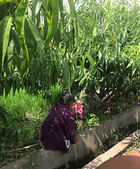 �������80�������̫̫ ������͵���� ���������ġ�����