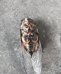 ��λ���� ���Ǹ�ʲô�������⣿