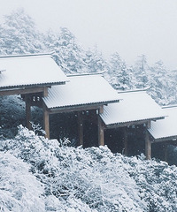 �������ȫ����·������Ϊһ������ PICK �żμ�