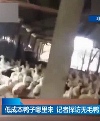 ���ٷ��ظ����ˡ�����������ֳ����Ѽ��30��ͳ��� ë��û����