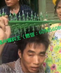 ���룡����һ����ʩ��ʧ�� �����ּ��ϵ�í������ͷ������Ƶ��