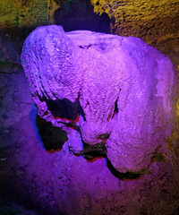 ��˯���� Ů���ѻ����������������� ����˵�����ѹ�ϵ