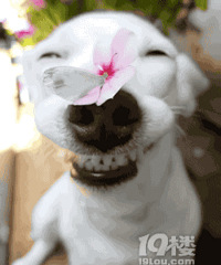 С����˾���ý� ��������Ҫ��ͣ����������Ҫ����ô��