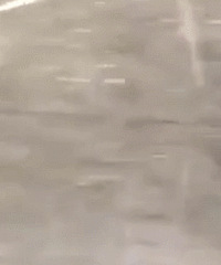 ���˽����籩�� ���±����ˣ�