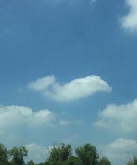 ������������ƣ�������ͻȻ�����㡭��